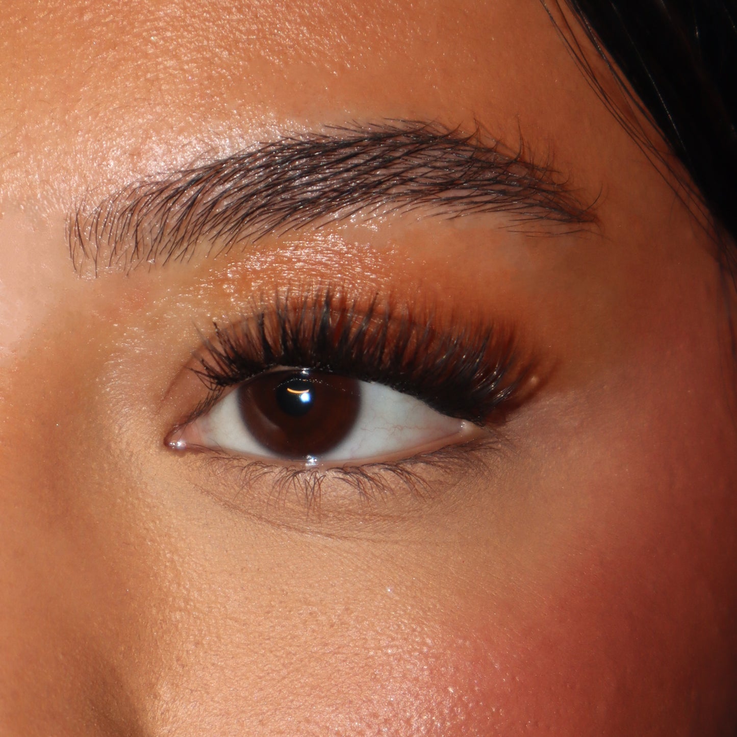 Cluster lash ROSA 10-12-14mm