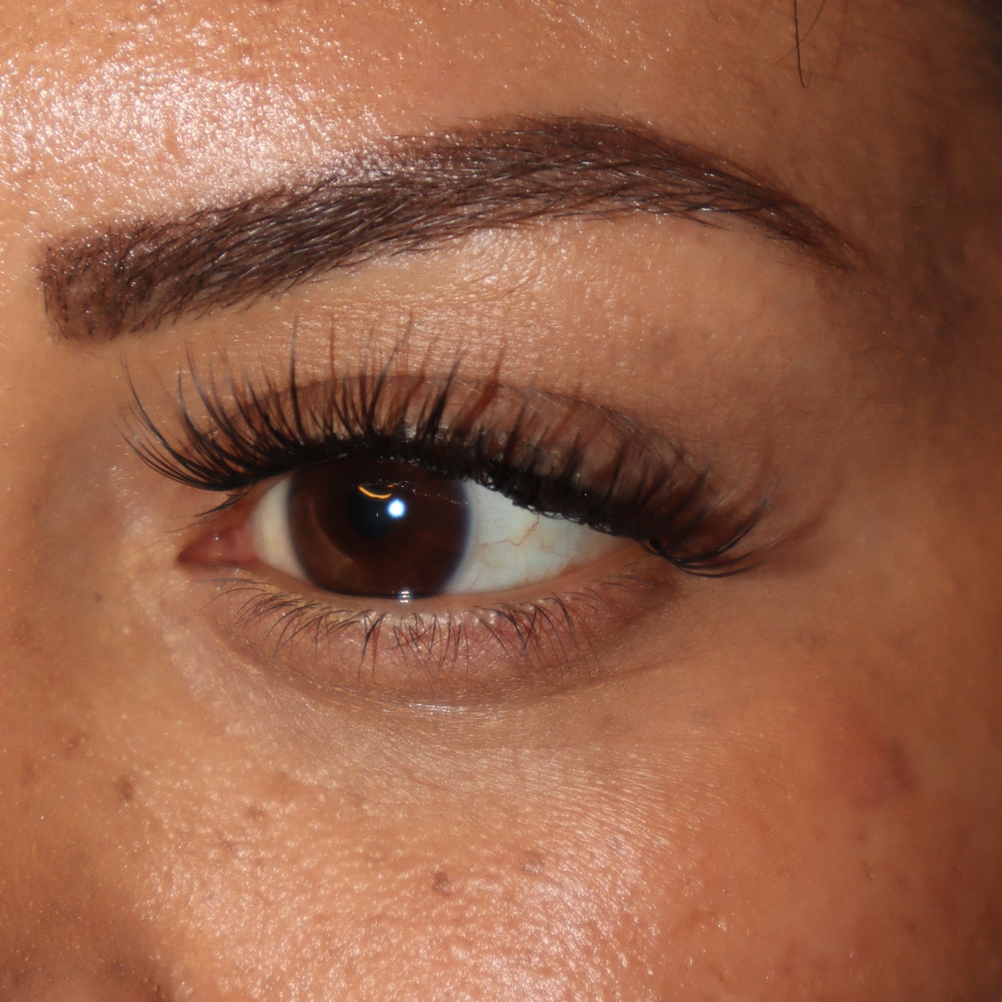Cluster lash EVA 10-12-14MM